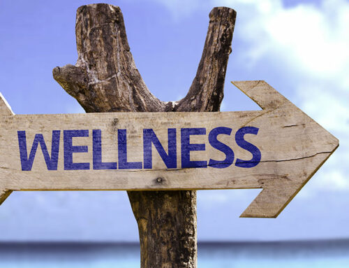 3 Wellness Services [hint… they will make a huge difference in your life!]